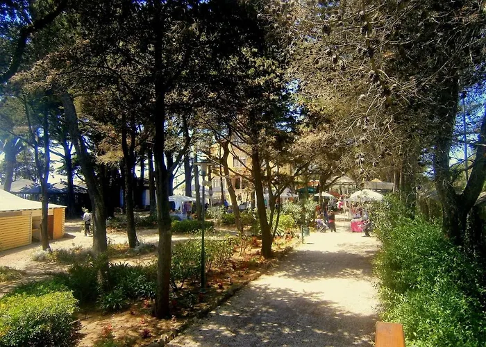 Ocean - With Swimming Pool Daire *