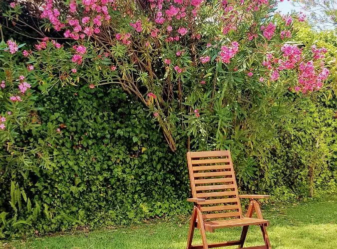 Ocean - With Swimming Pool Daire *