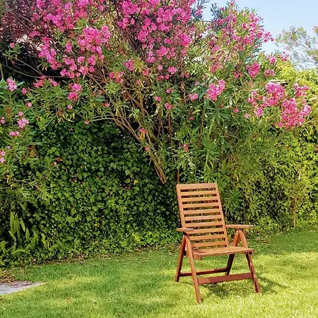 Ocean - With Swimming Pool Appartement *